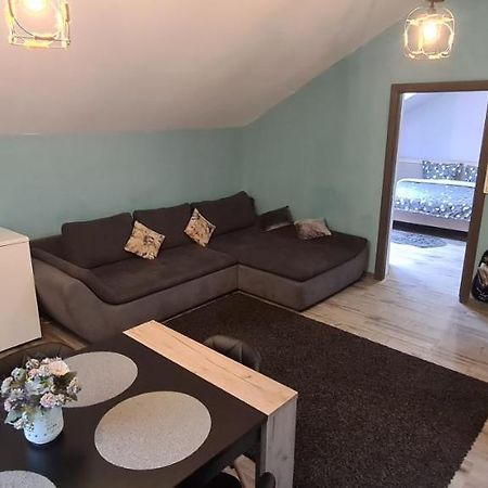 Comfort Home Apartment 3 Петрошани Экстерьер фото